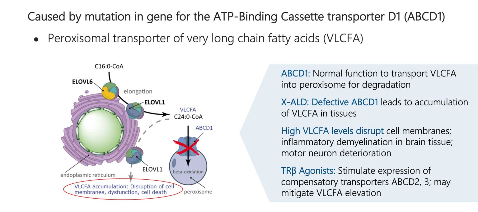 Viking Therapeutics VK0214 - Viking Therapeutics